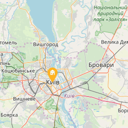 Kiev Accommodation Apartment on Horodetskogo st. на карті